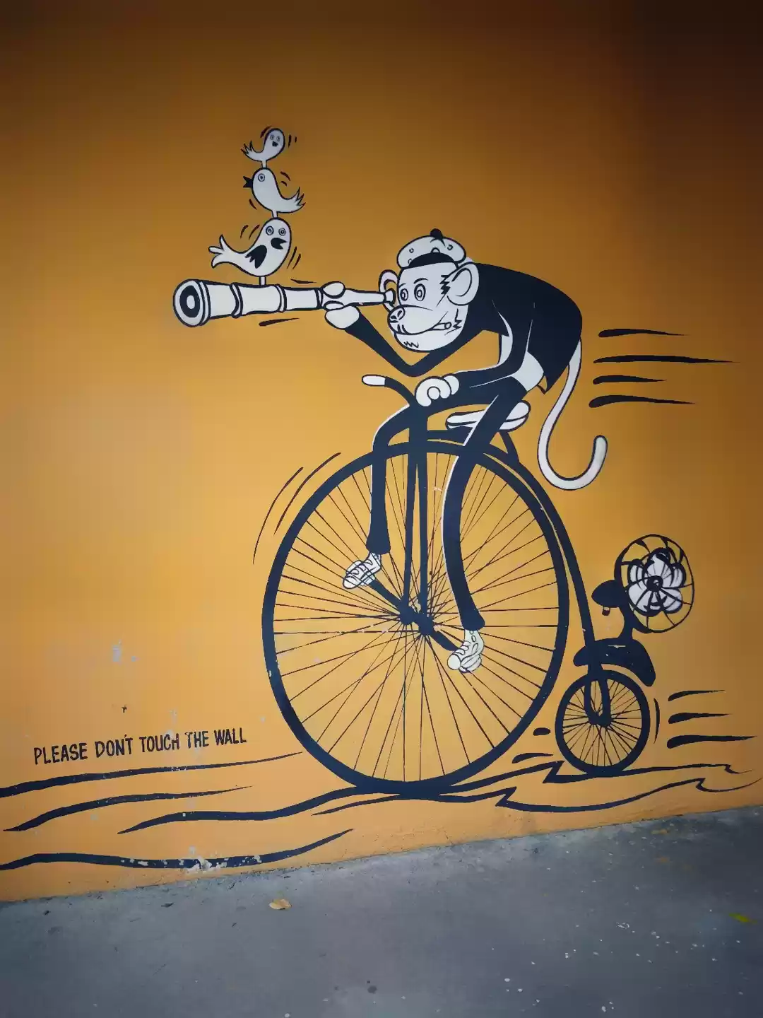 Photo of 5days in Tamil Nadu: