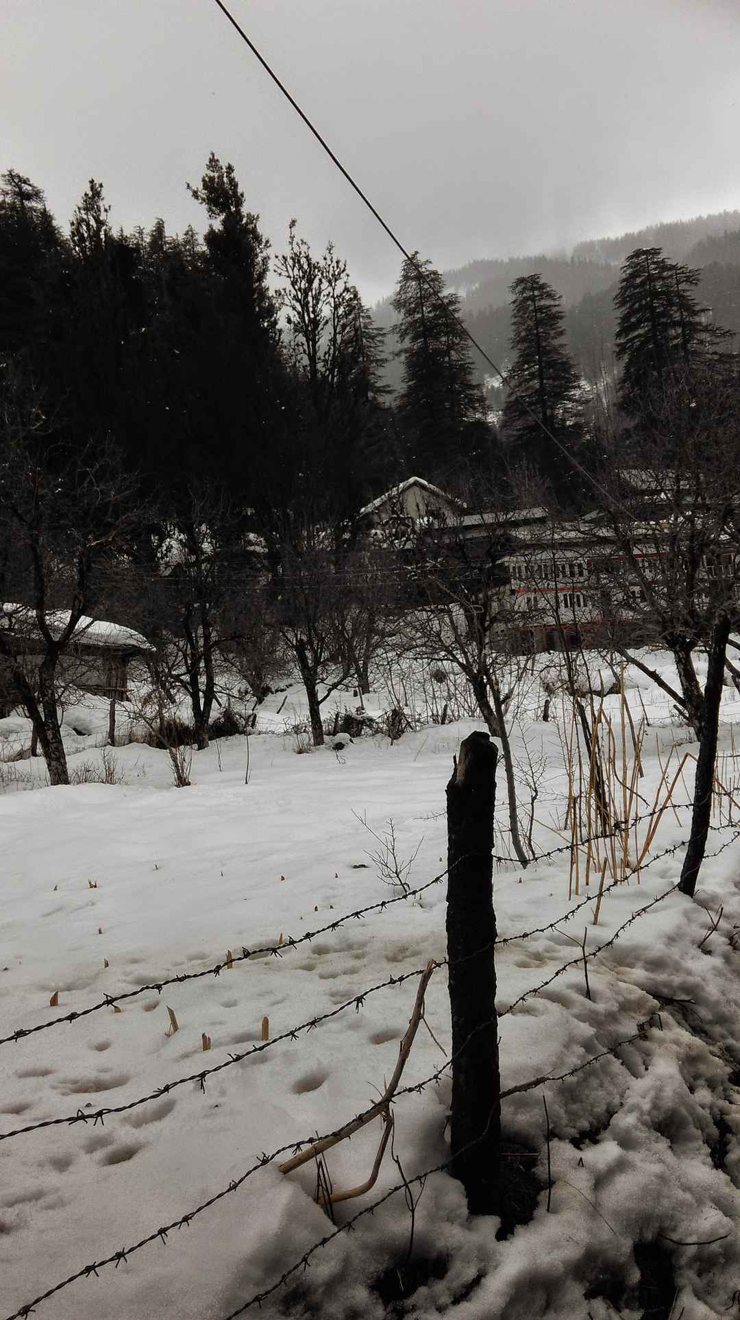 All Girls Trip To Parvati Valley Tripoto