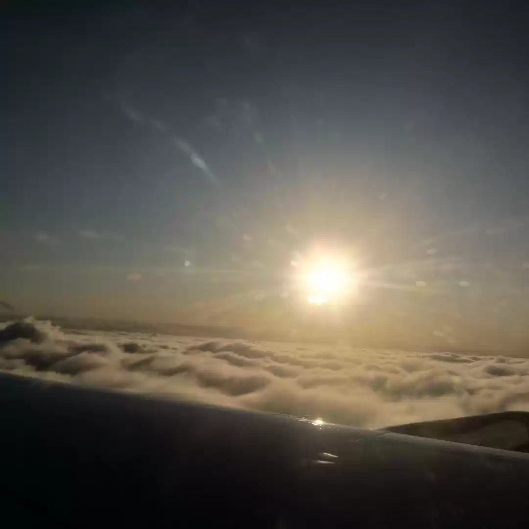 Photo of Komal Vilkar