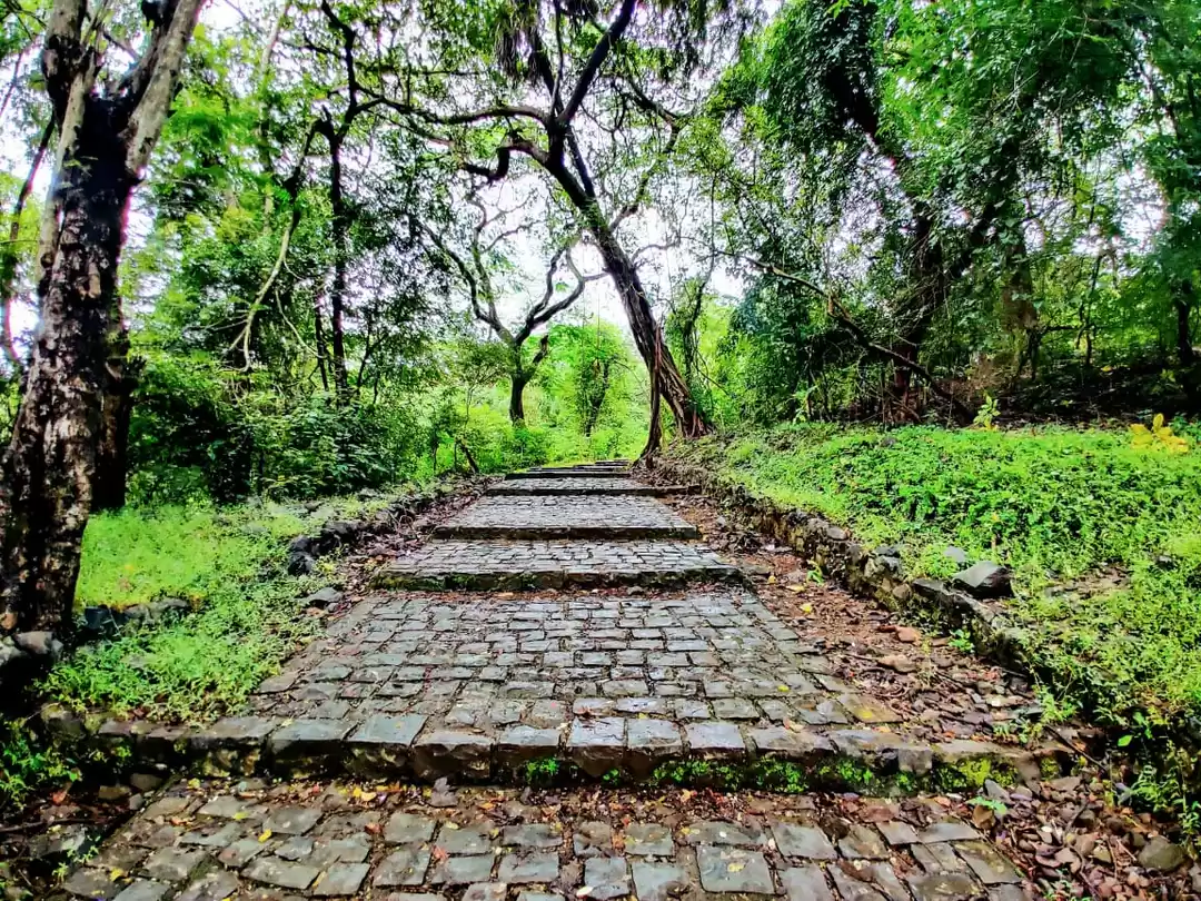 Photo of Kanheri Caves, Natur
