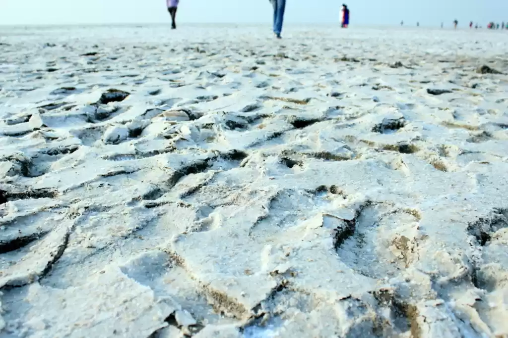Photo of Bike trip to 'Kutch