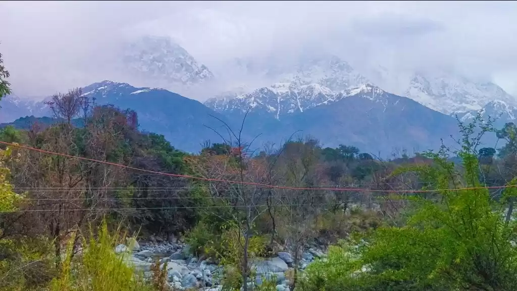 Photo of Why you should never