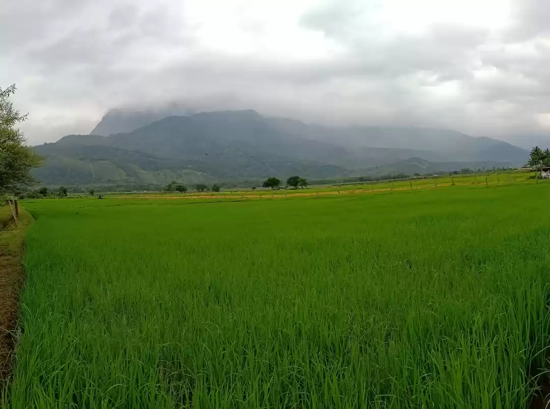 Photo of STORY OF 1500KM RIDE