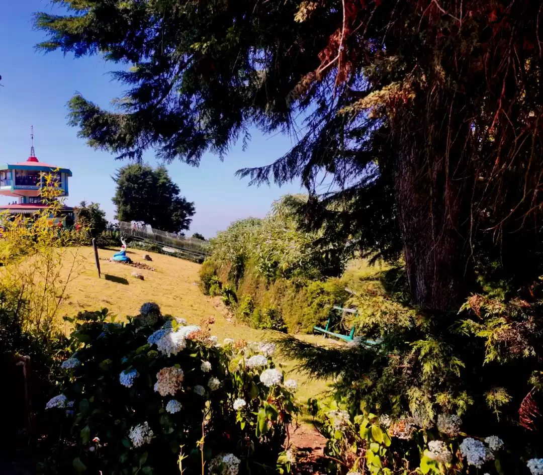 Photo of Ooty - The Budget We