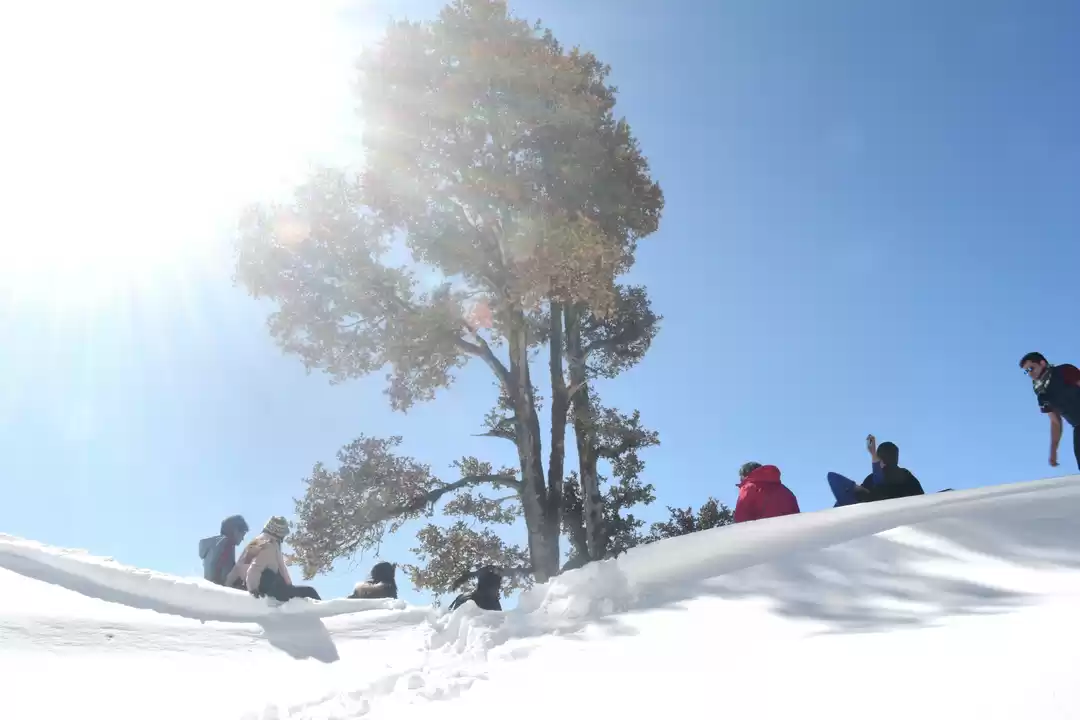 Photo of Tripping in Tirthan!