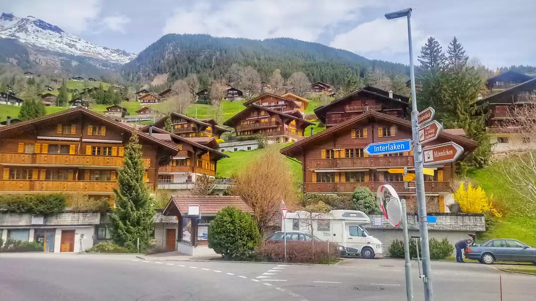 Photo of In The Search of Swi