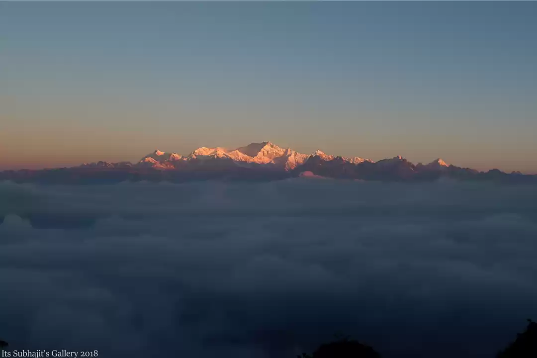 Photo of A trip to Forest and