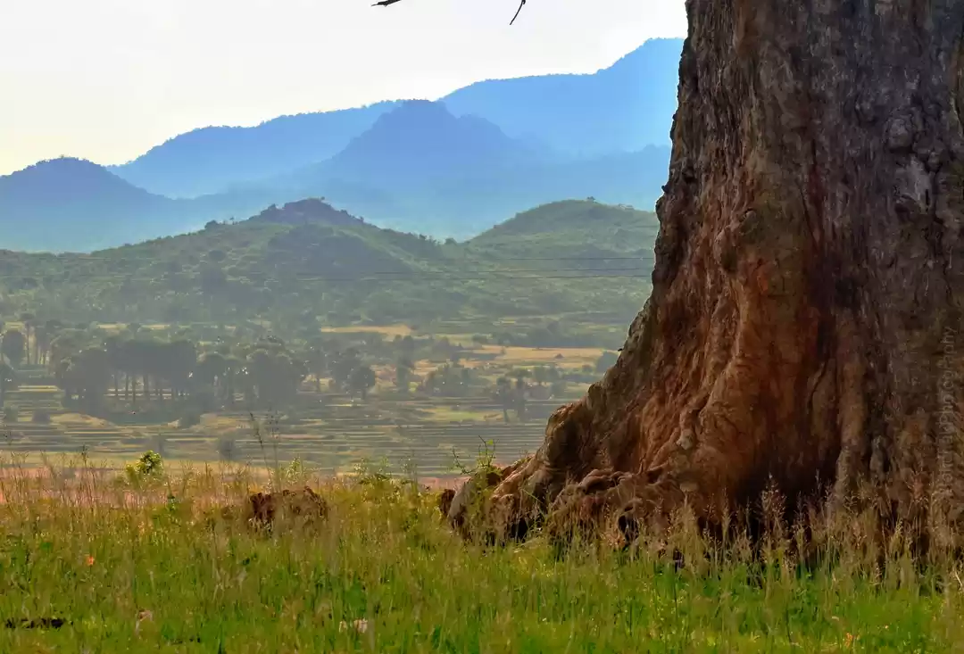 Photo of Massanjore Dam 