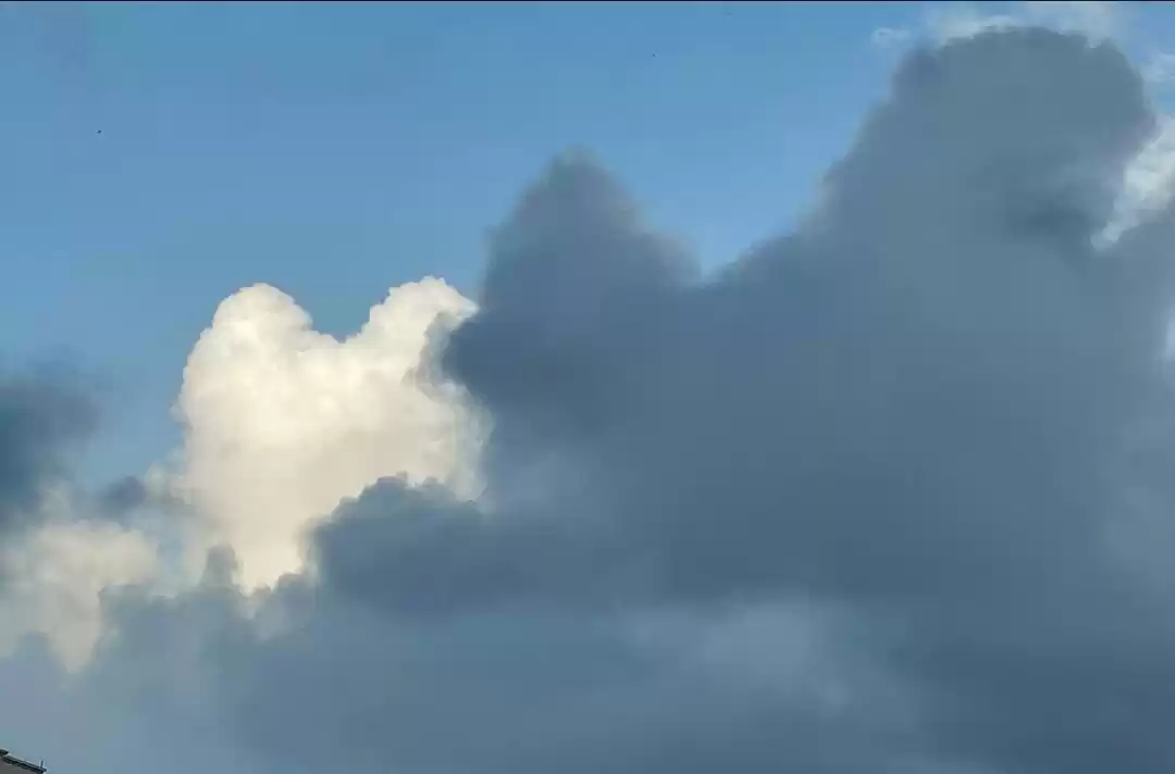 Photo of Earth's Blessings