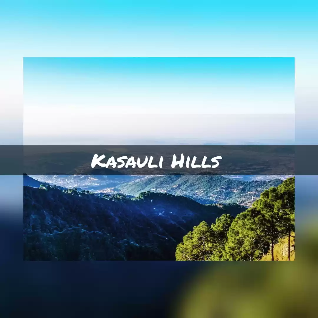 Photo of That Kasauli Novembe
