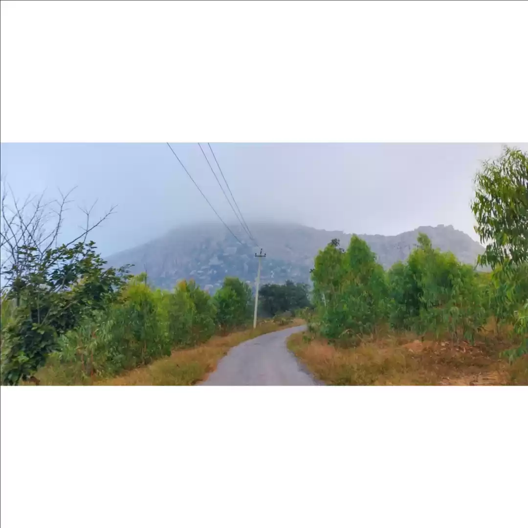 Photo of A lesser known Huluk