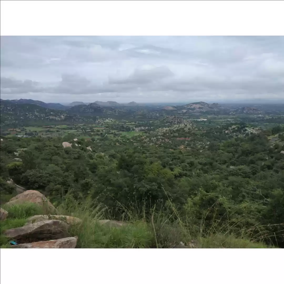 Photo of Avalabetta is Nandi