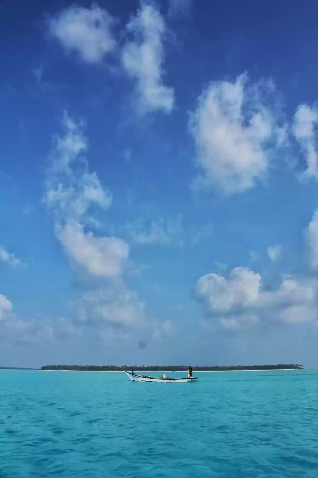 Photo of Beautiful coral isla