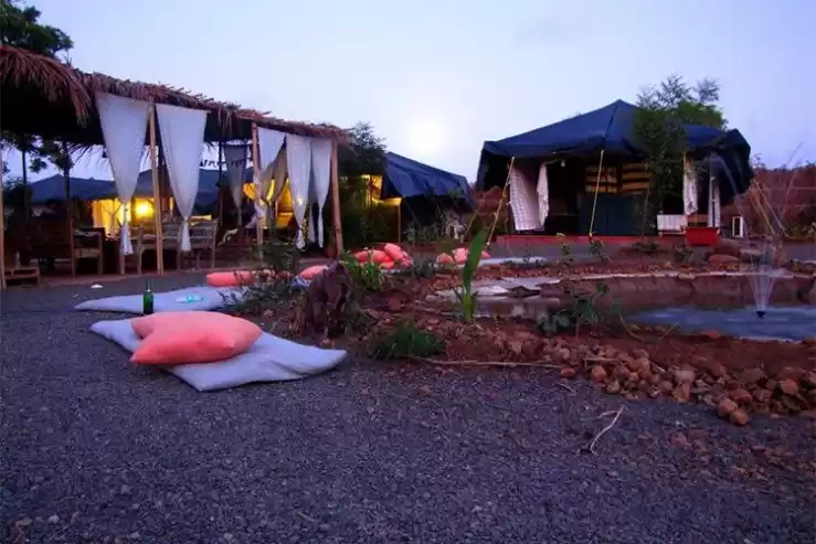 Photo of Serenity found!