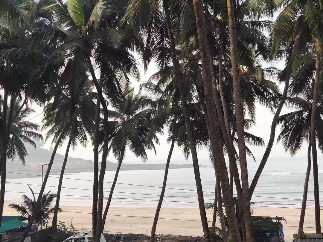 Photo of Murud Alibaugh