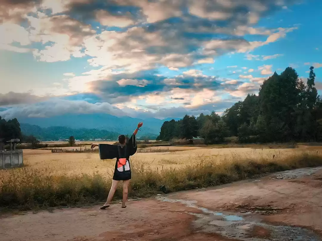 Photo of Ziro Festival of Mus