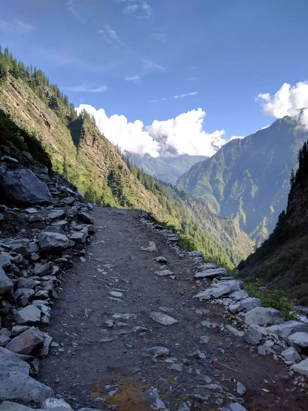 Photo of The Trek of a Yogi -
