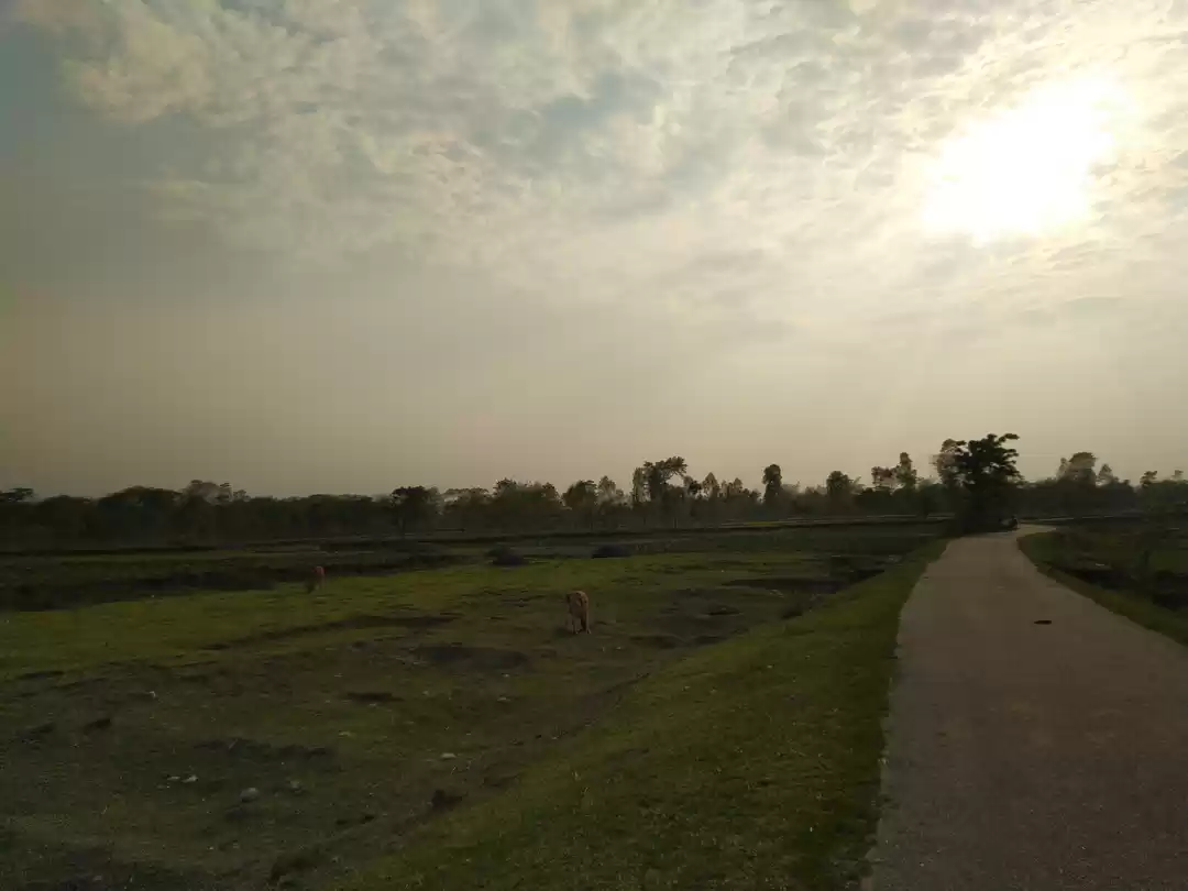 Photo of Siliguri & Bongaigao