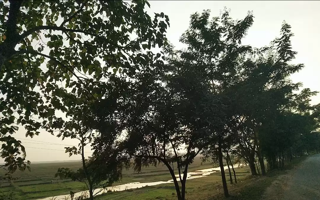 Photo of Village area of Kamr