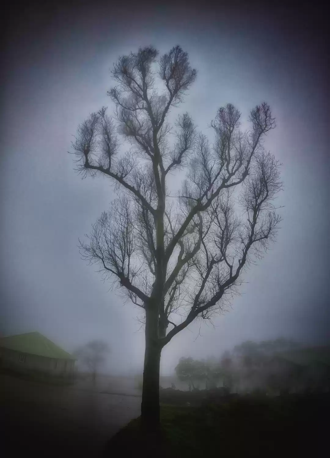 Photo of Misty and bewitching