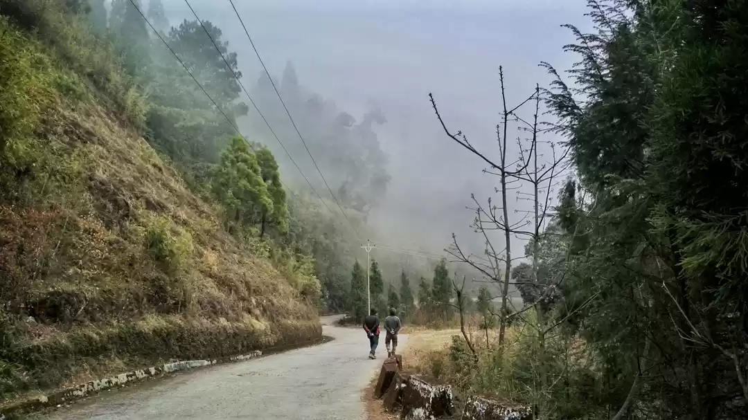 Photo of Dhotrey, 2019