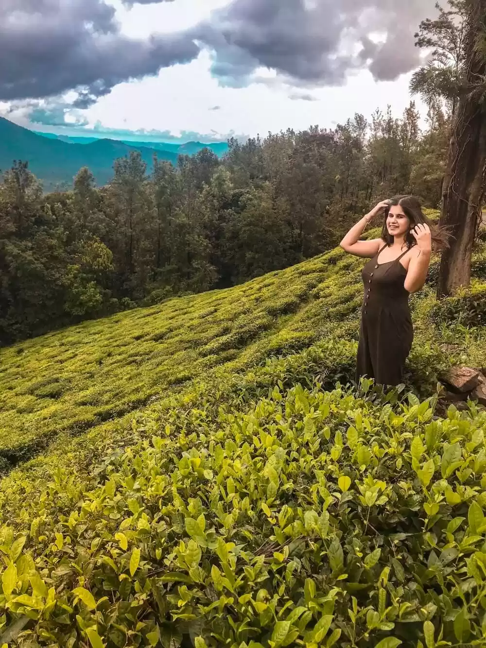 Photo of Escape to Wayanad, K