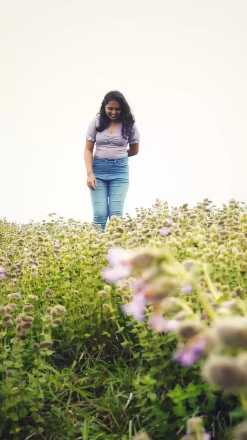 Photo of Neelakurinji: Flower