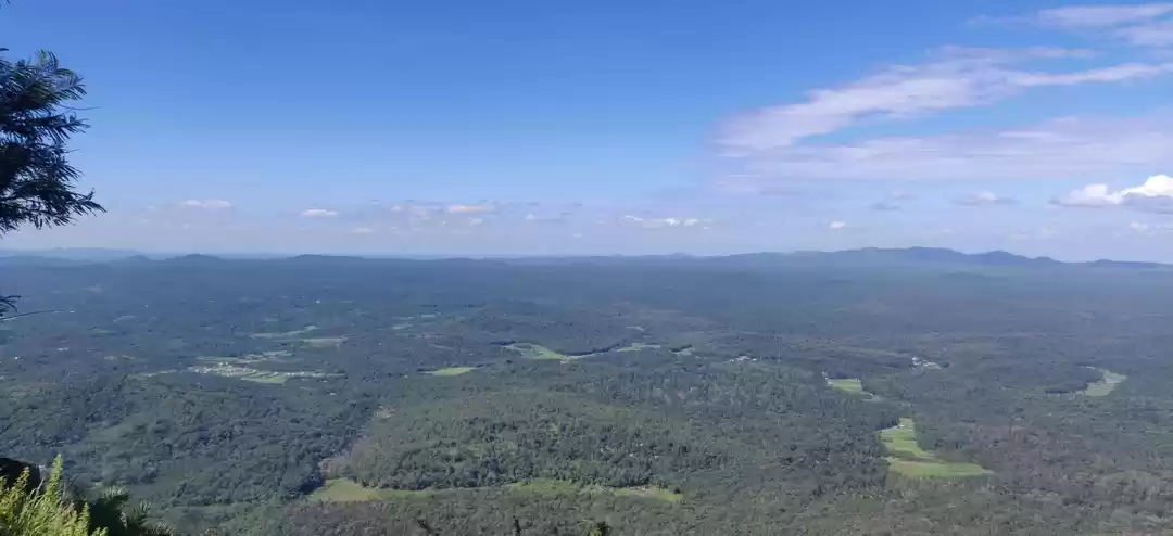 Photo of OOTY -TRUELY THE QUE