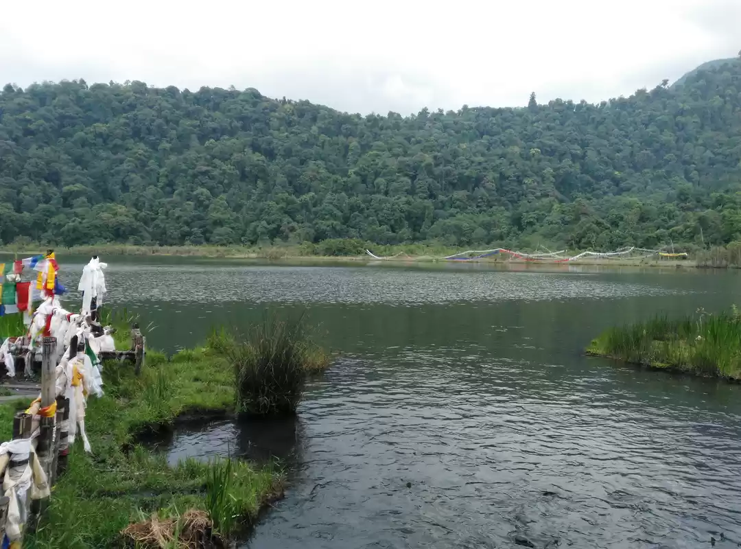 Photo of Khecheopalri Lake - 