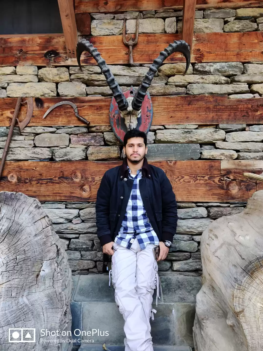 Photo of Naggar castle and ja