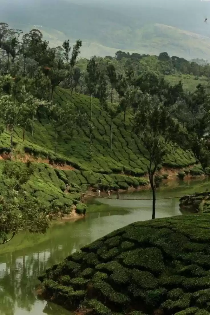 Photo of God's Own Country