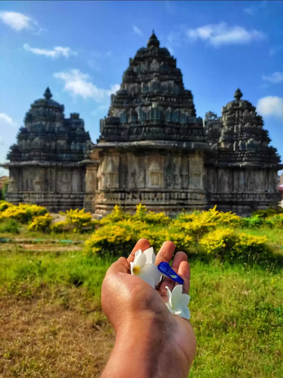 Photo of Hoysala dynasty 's m