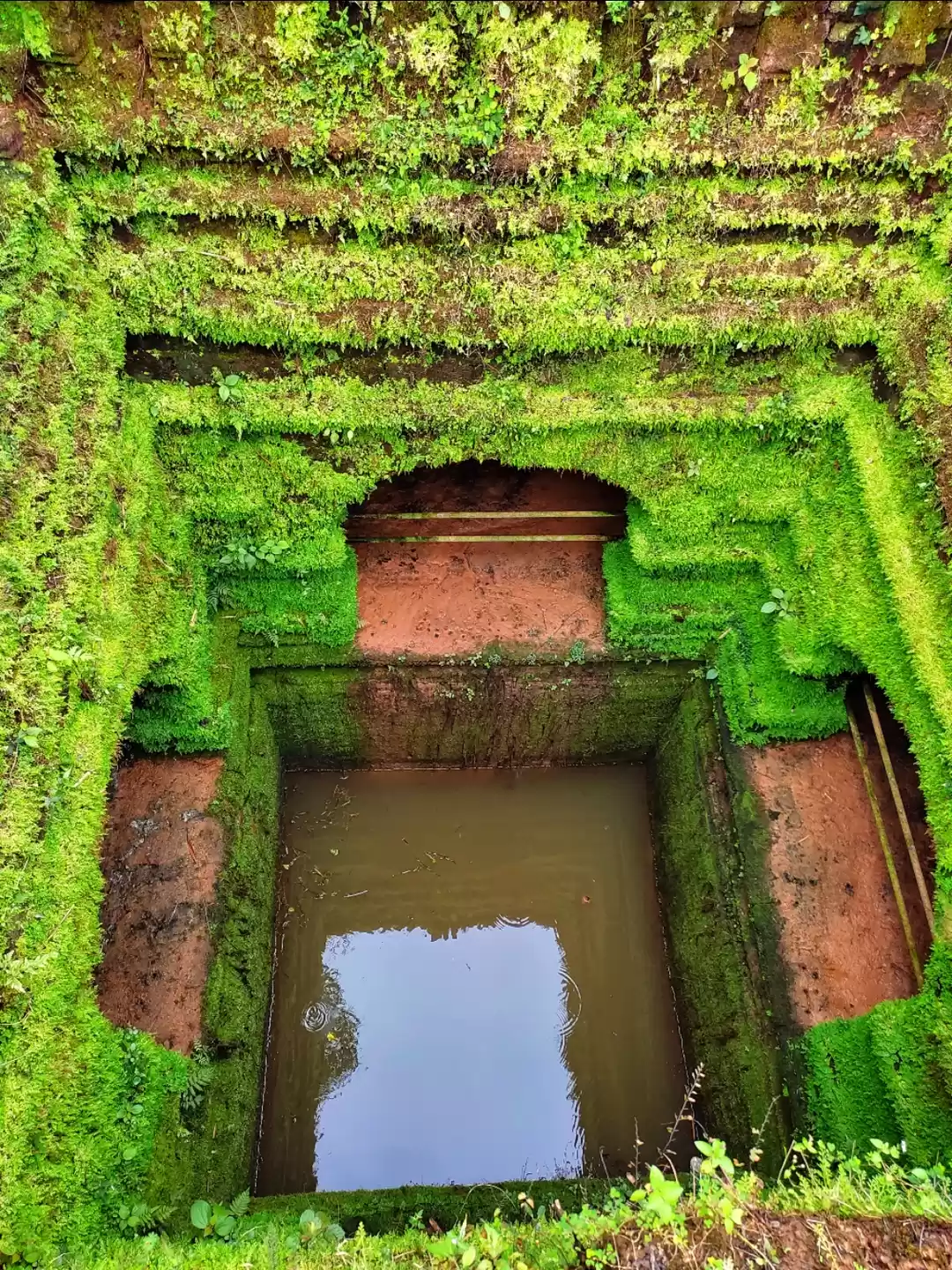 Photo of ನಾ ಕಂಡ ಅತ್ಯಂತ ಸುಂದರ 