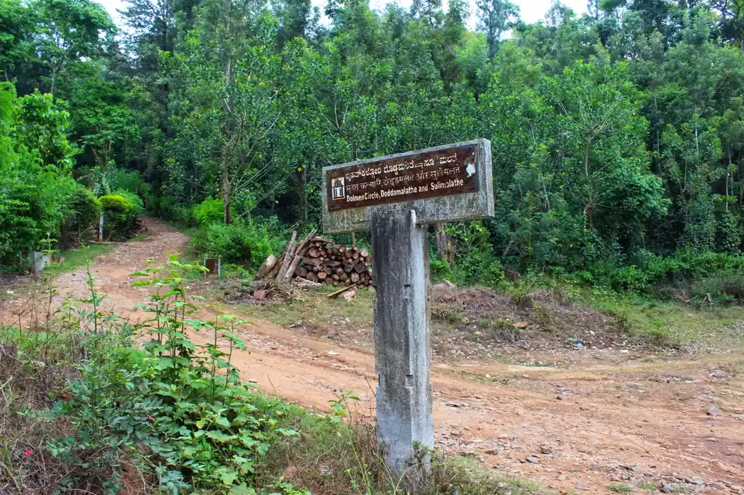 Photo of The first ever buria