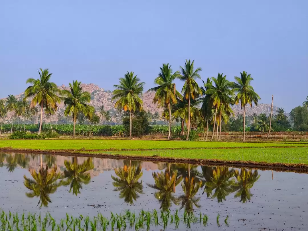 Photo of Glimpses of Anegundi
