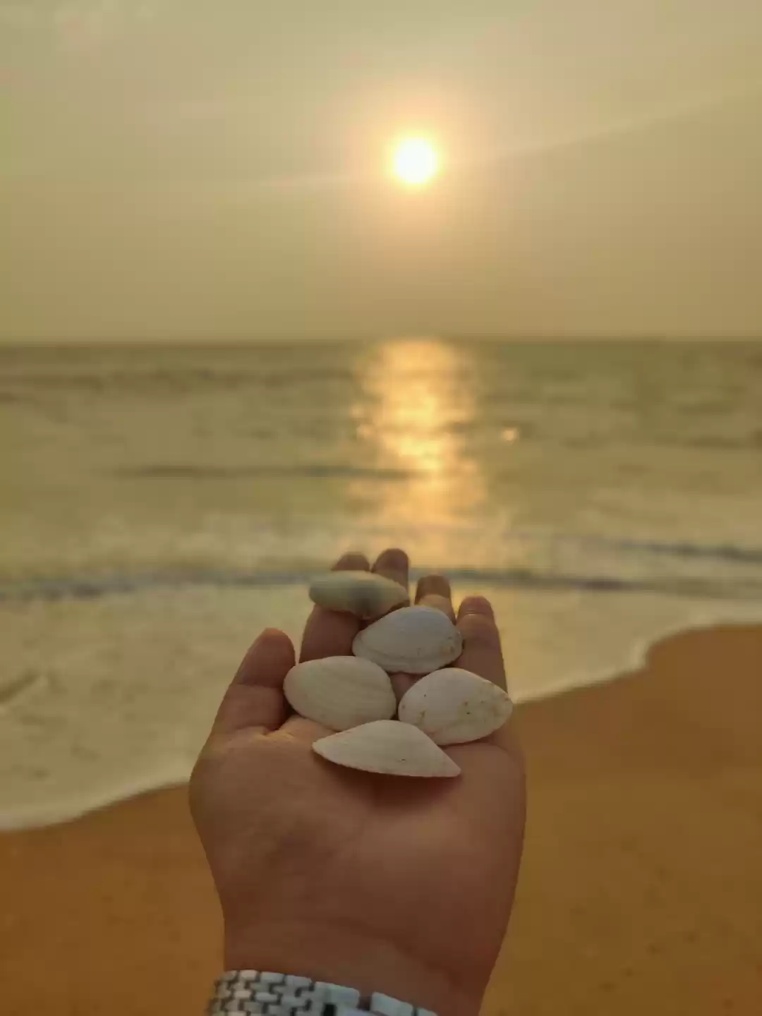 Photo of A fusion of sun-kiss