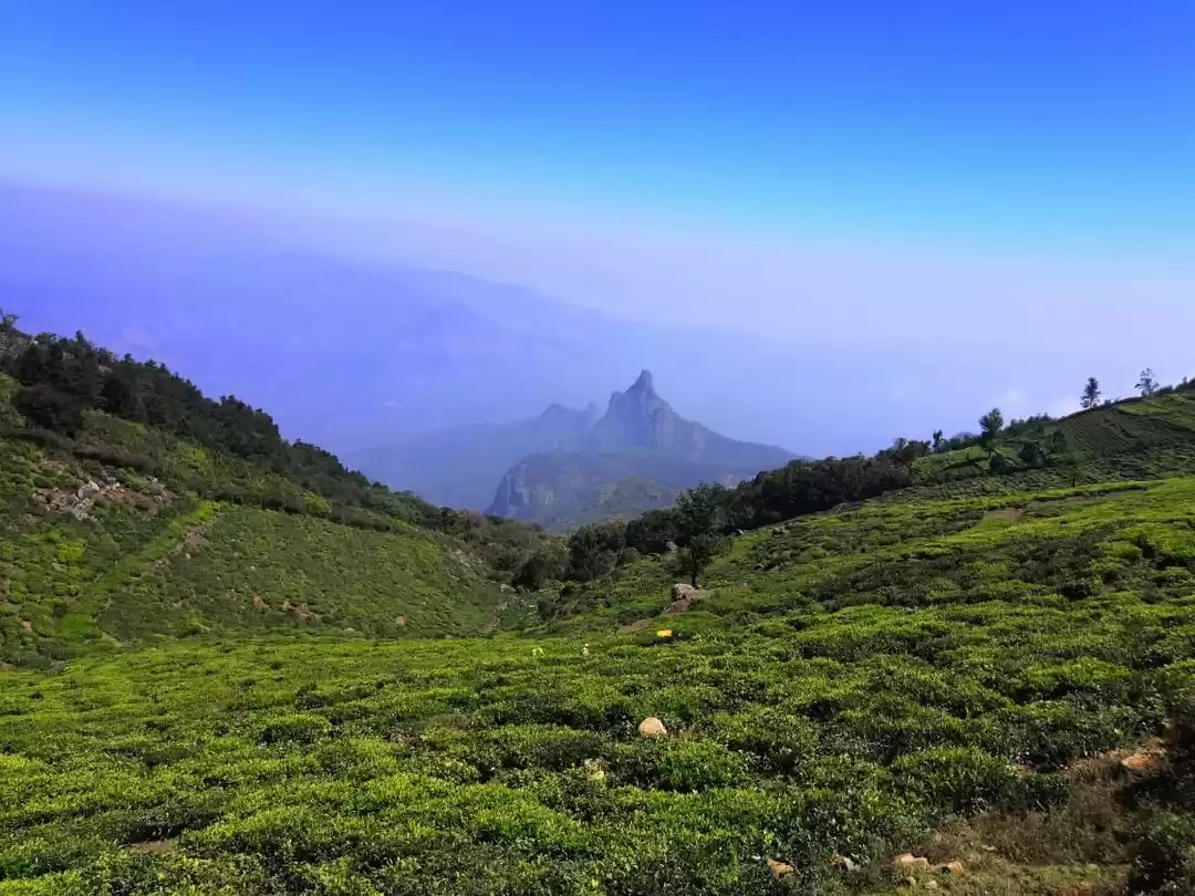 Photo of Adventurous kotagiri