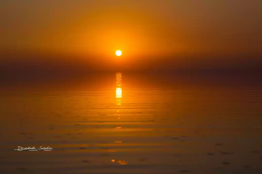 Photo of A walk through th