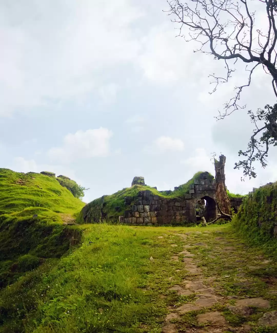 Photo of Nagara fort