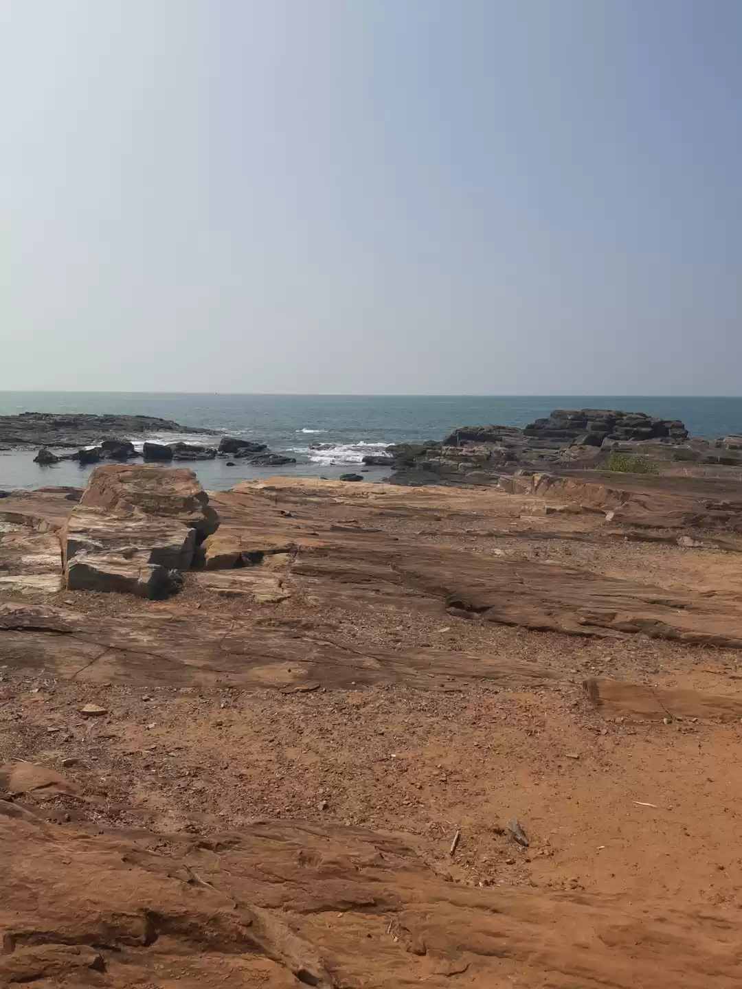 Photo of Tarkali-malvan