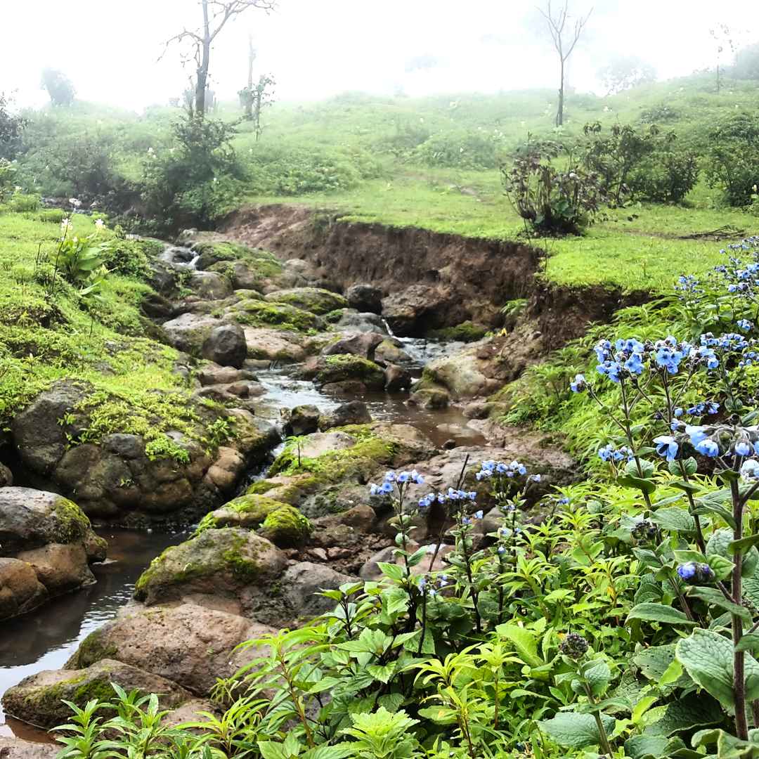 raireshwar fort in bhor located near pune check out raireshwar trek guide on tripoto raireshwar fort in bhor located near