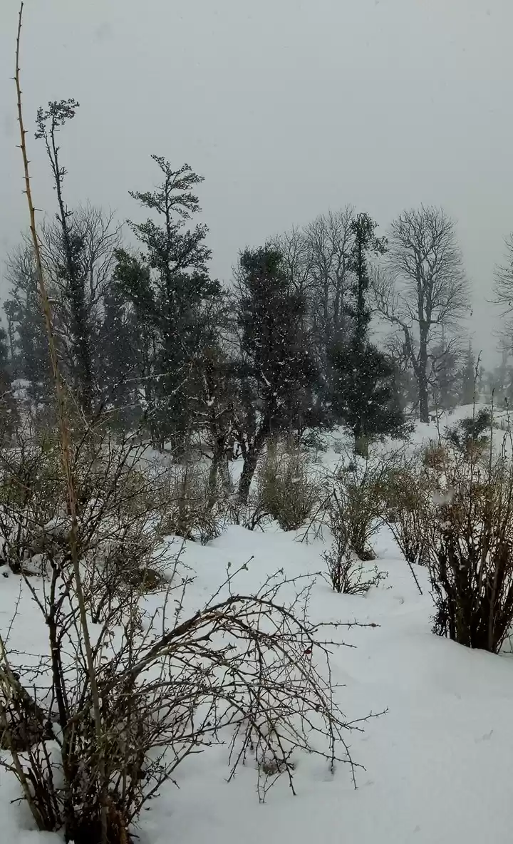 Photo of Trekking Expedition 