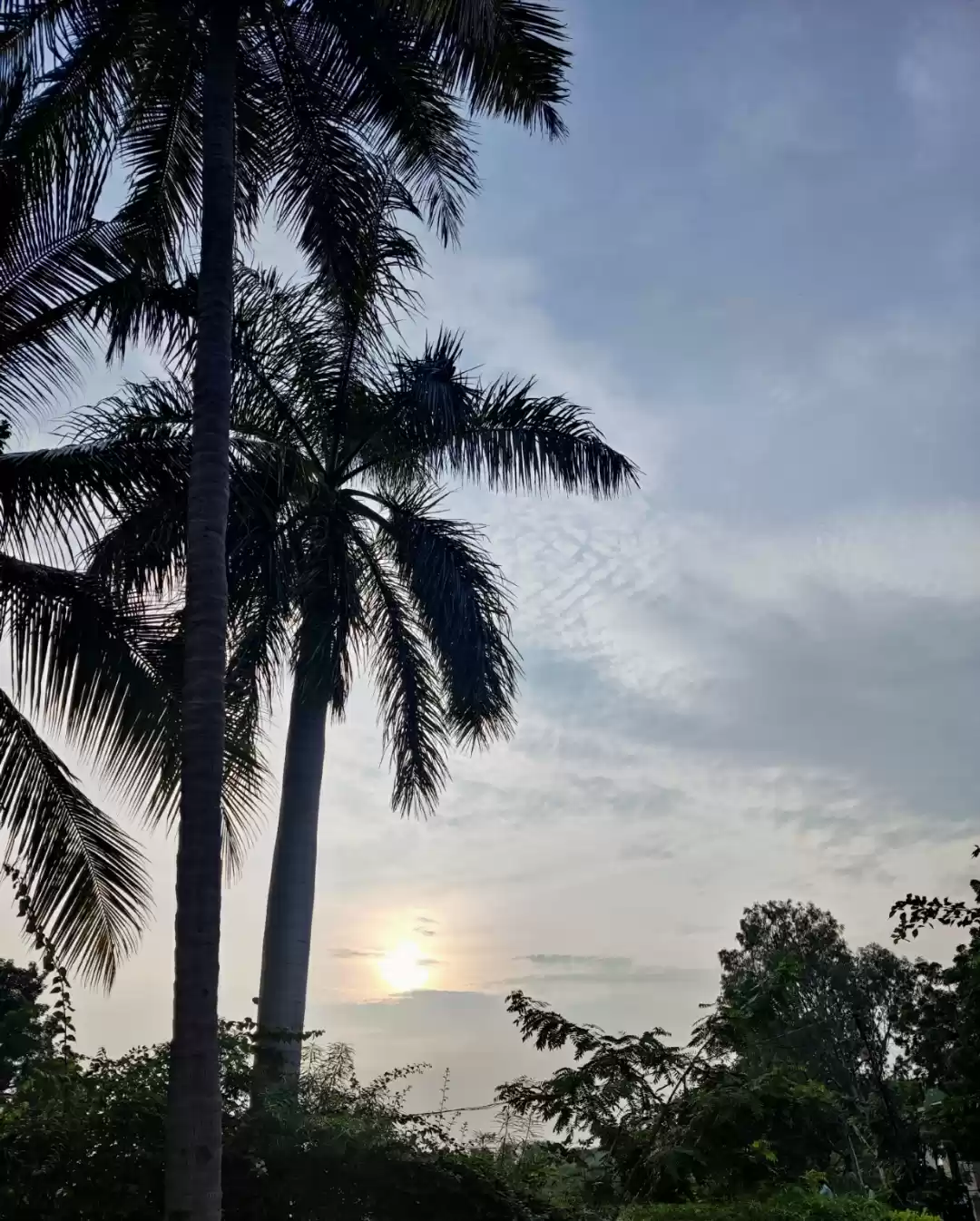 Photo of Goa Filling in Auran