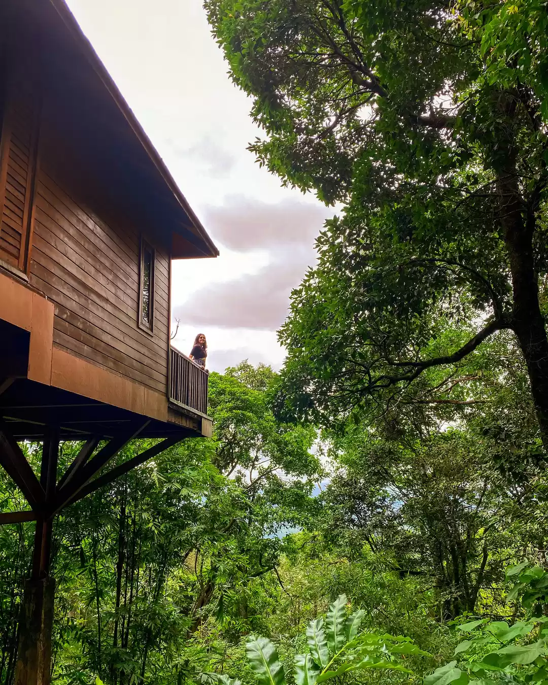 Photo of My Experience at the