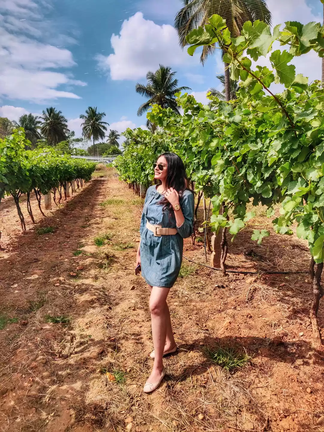Photo of Big Banyan Vineyard 