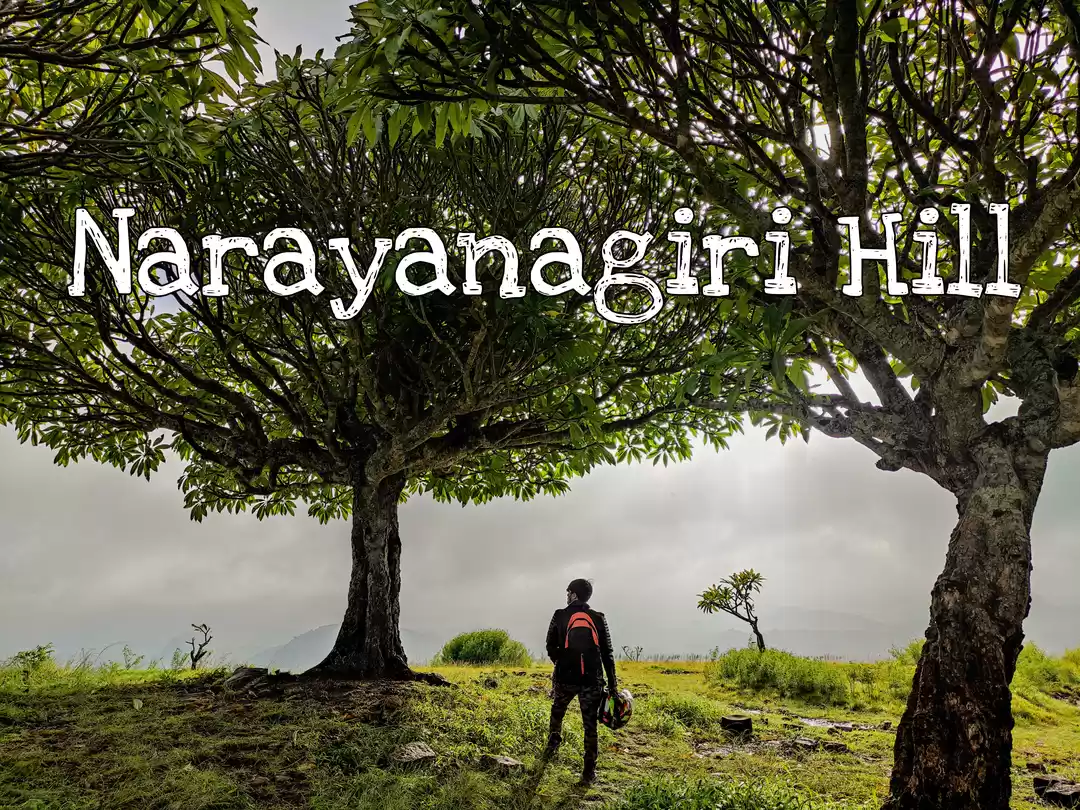 Photo of Narayanagiri hills. 