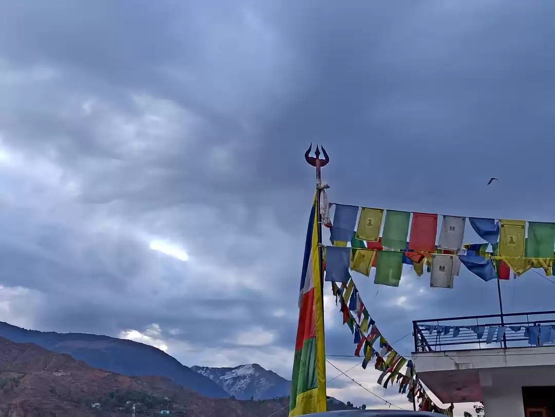 Photo of 1 Day trip to Dharam