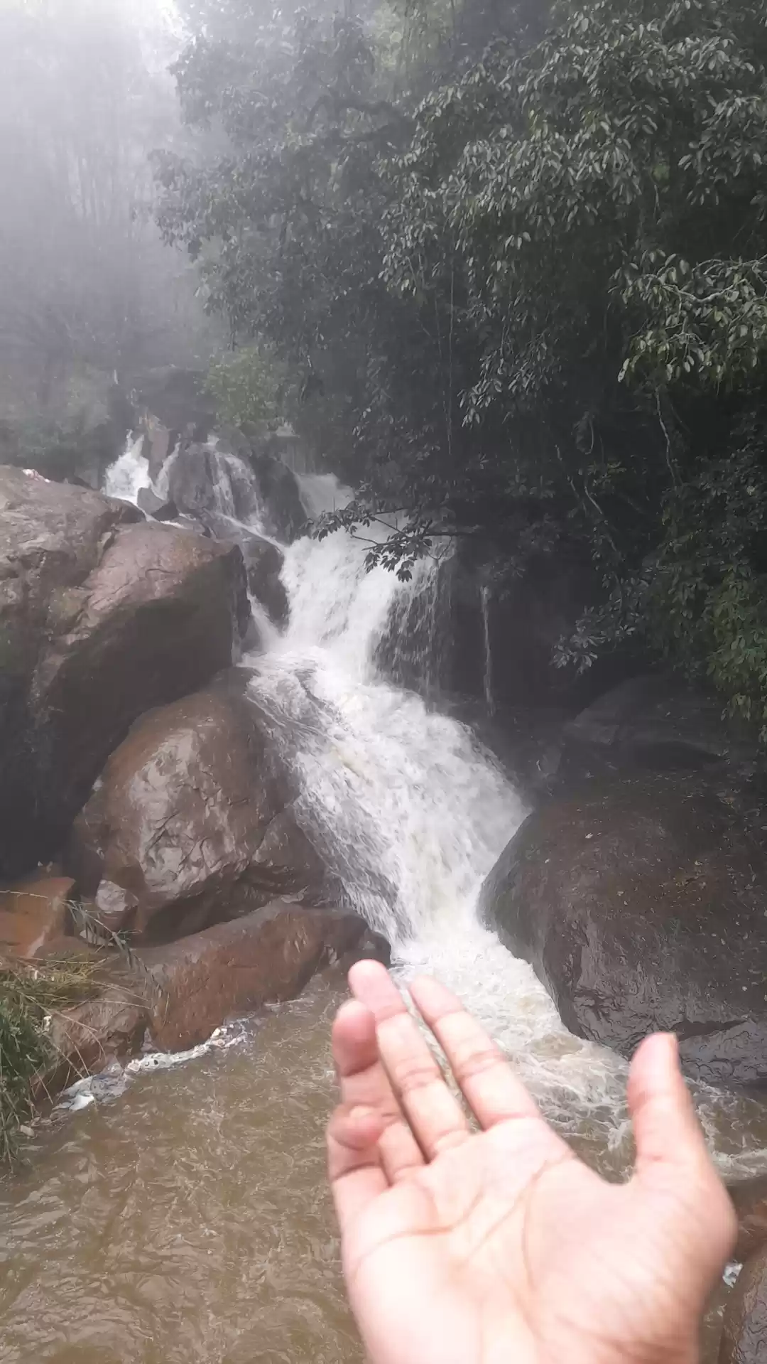 Photo of Wandering into Nilgi