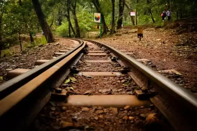 Photo of Trailing Nature with