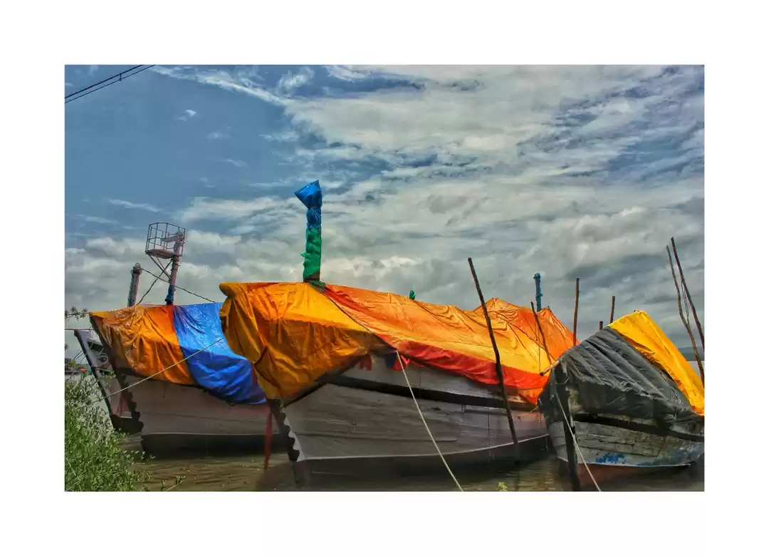 Photo of Oranges in my boat